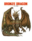 Bronze Dragons