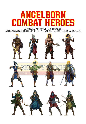Angelborn Combat Heroes