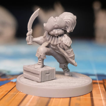 Tabaxi Pirate - Custom 3D Mini