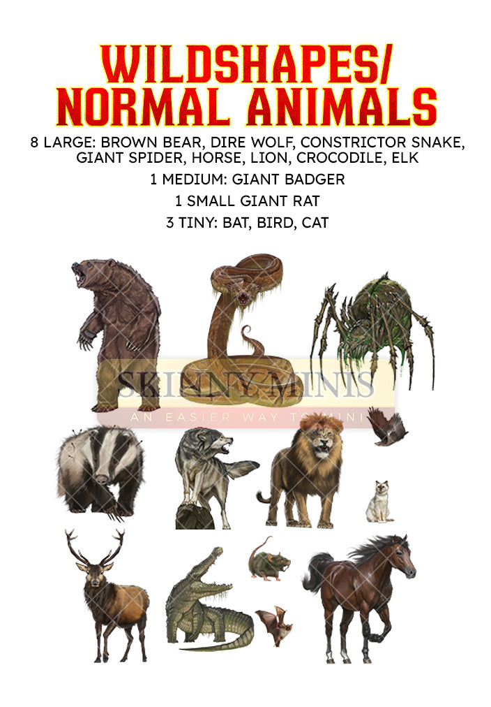Wildshapes / Normal Animals